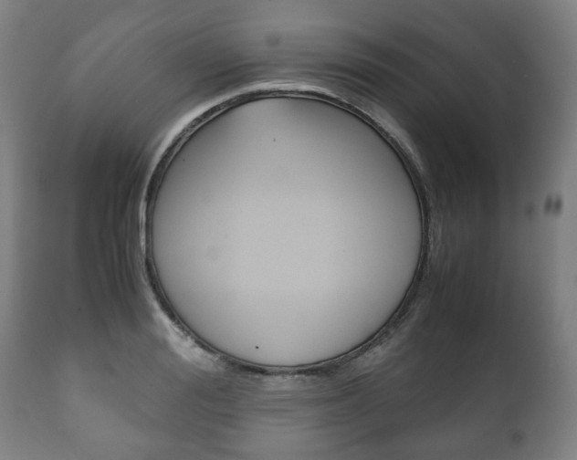 X0000111780988200907230945