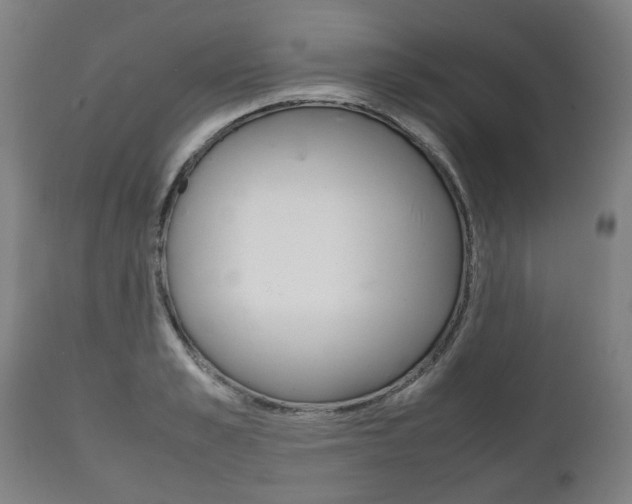 X0000111780989200907230945