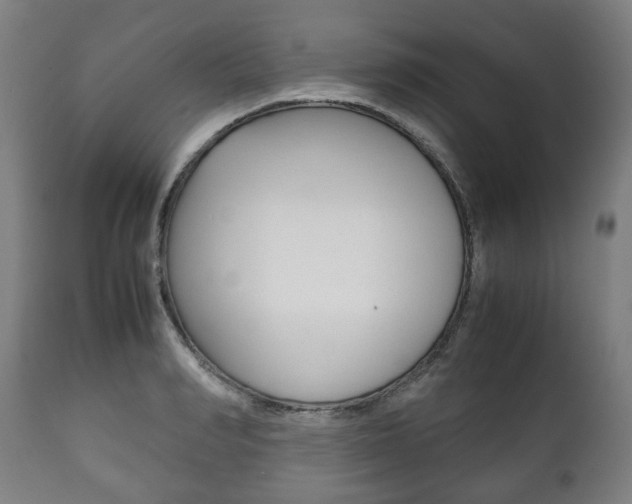 X0000111780990200907230945