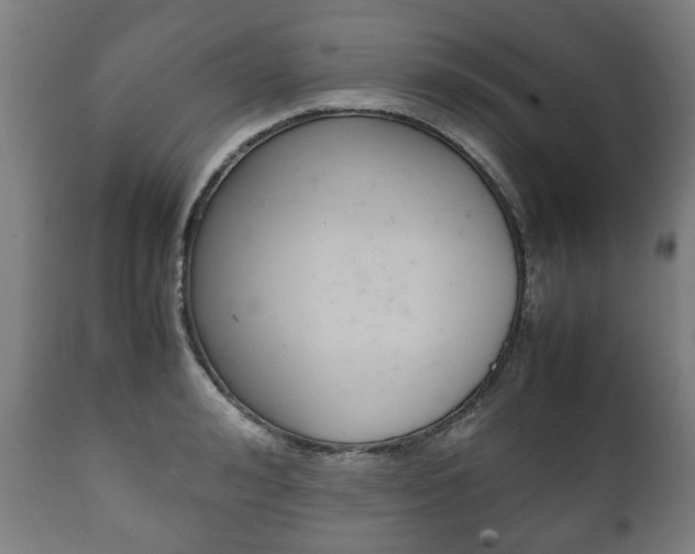 X0000111780992200907230945