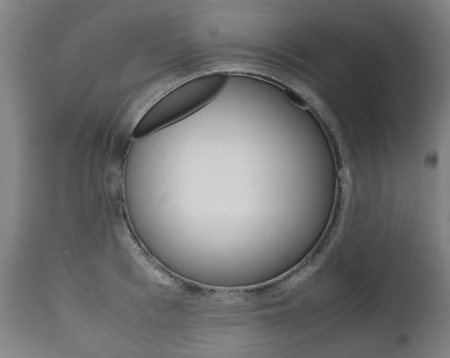 X0000111780993200907230945