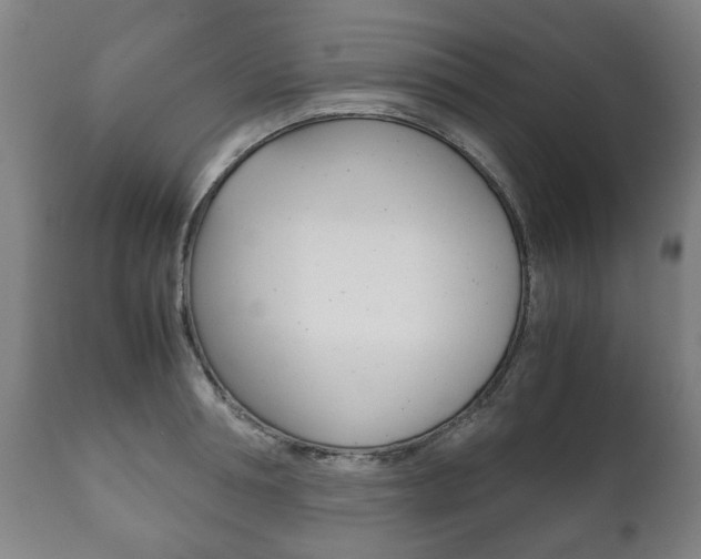X0000111780994200907230945