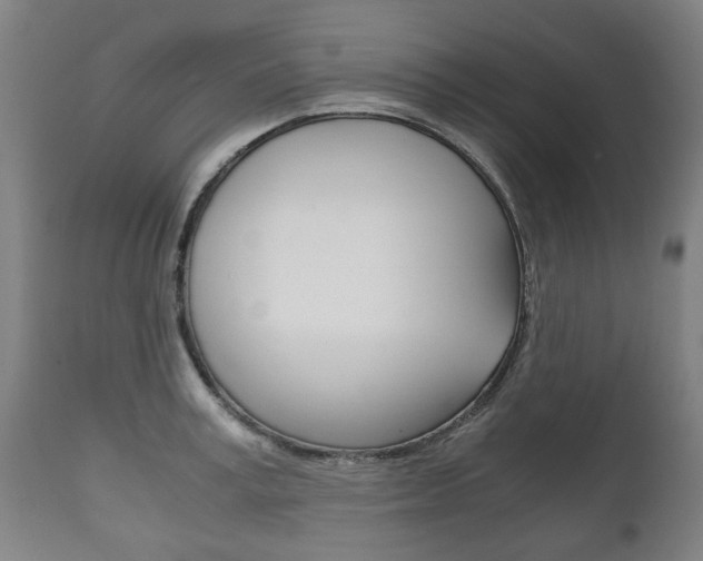 X0000111780995200907230945