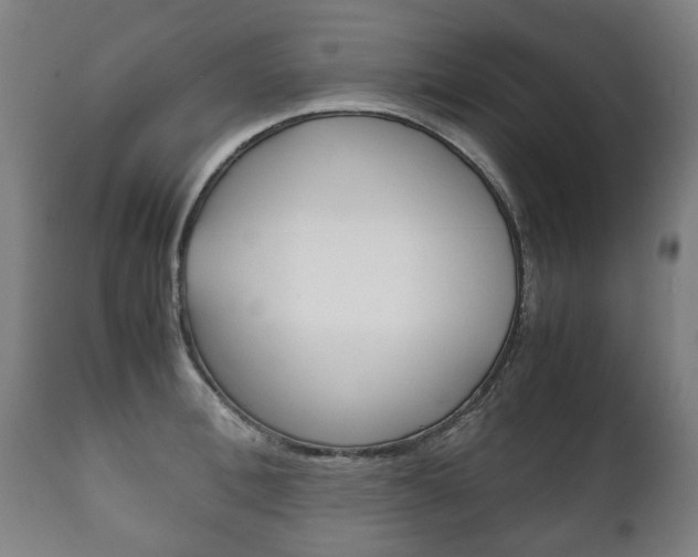 X0000111780996200907230945