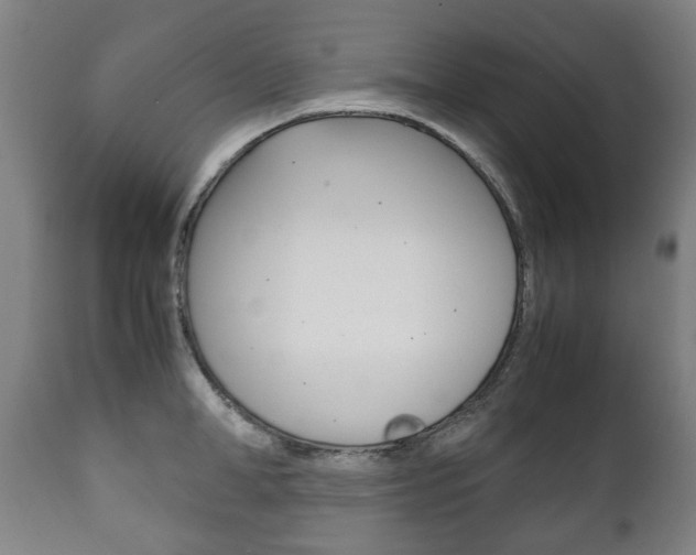 X0000111780998200907230945