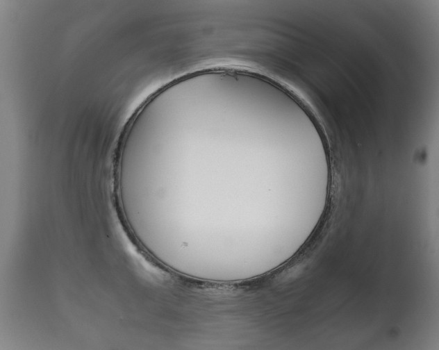 X0000111780999200907230945
