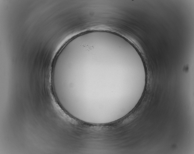 X0000111781000200907230945