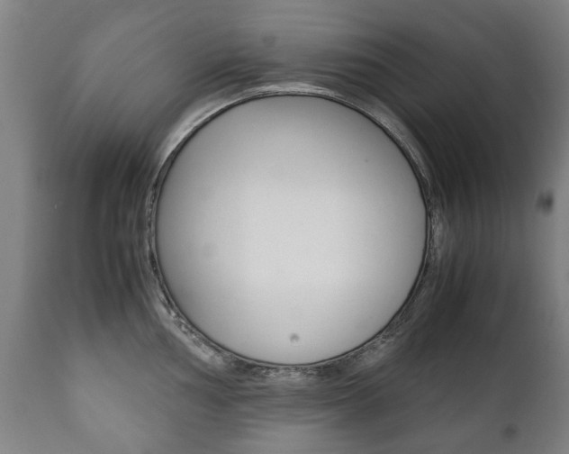 X0000111781002200907230945