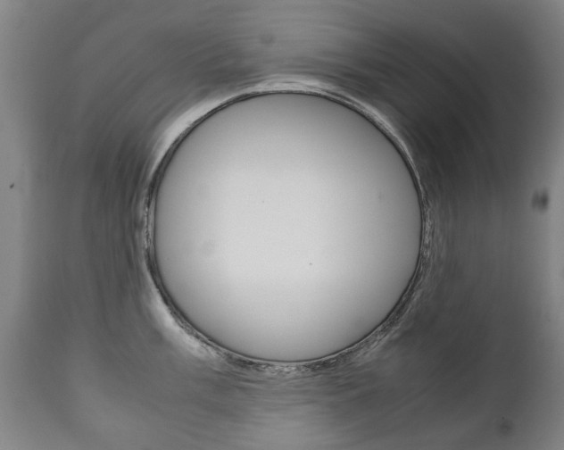 X0000111781003200907230945
