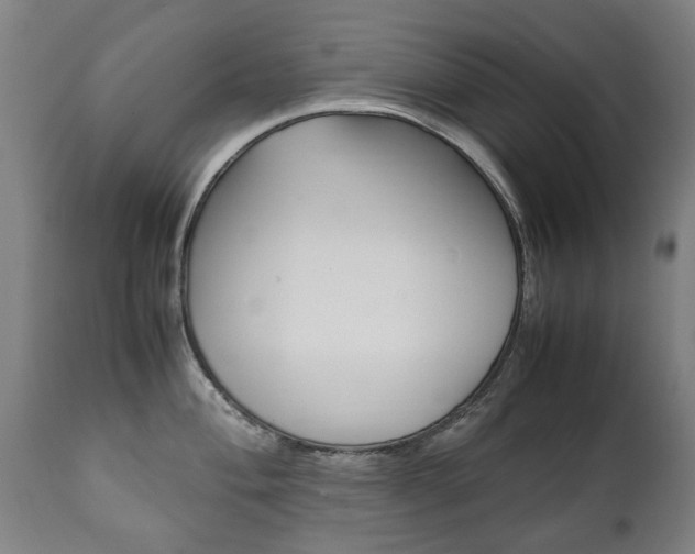X0000111781004200907230945