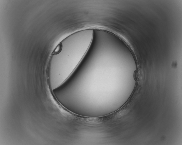 X0000111781007200907230945