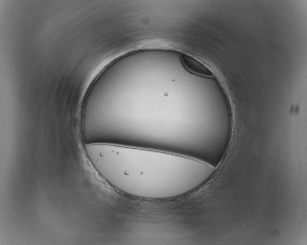 X0000111781008200907230945