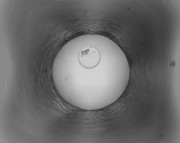 X0000111781009200907230944