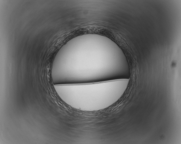 X0000111781010200907230944