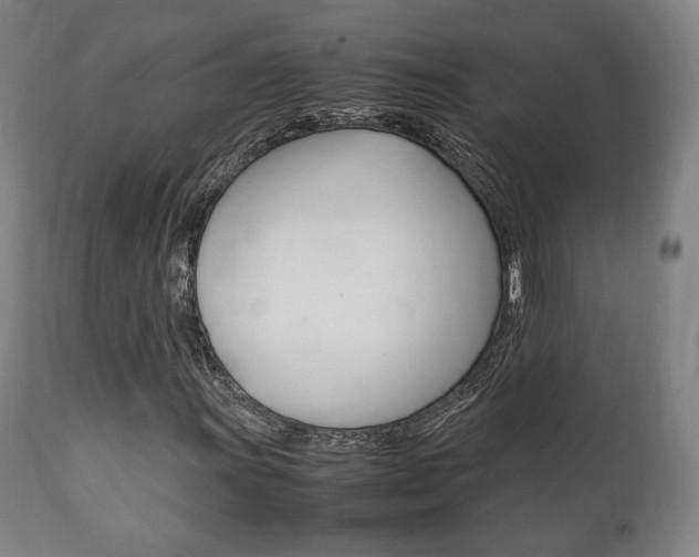 X0000111781011200907230944