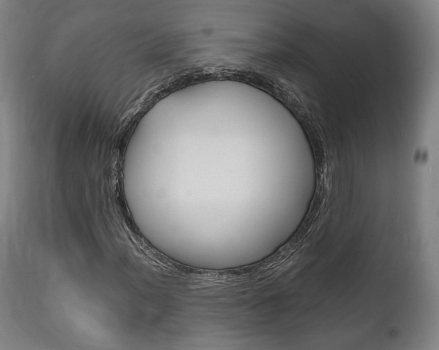 X0000111781012200907230944