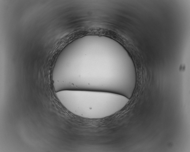 X0000111781013200907230944
