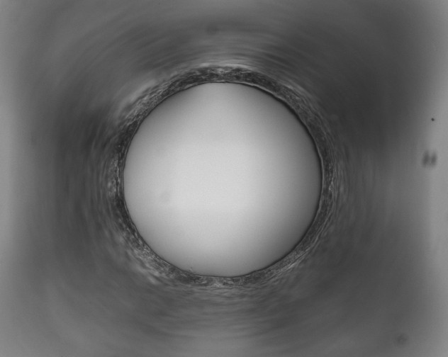 X0000111781014200907230944