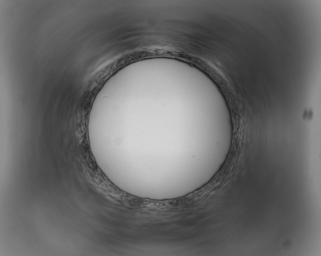 X0000111781015200907230944