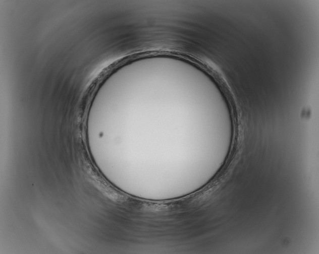 X0000111781019200907230944