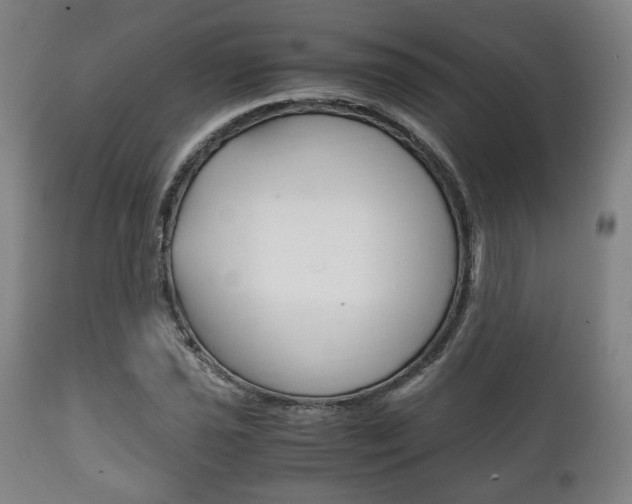 X0000111781021200907230944