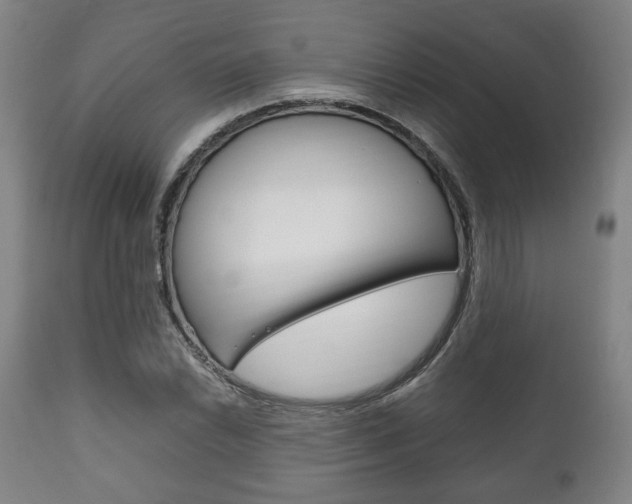 X0000111781022200907230944