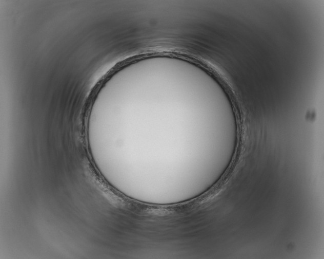X0000111781023200907230944