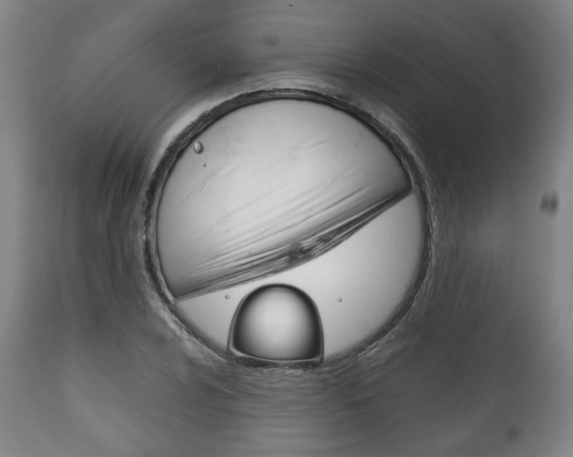 X0000111781024200907230944