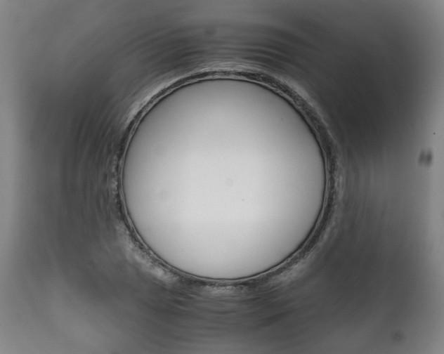 X0000111781025200907230944