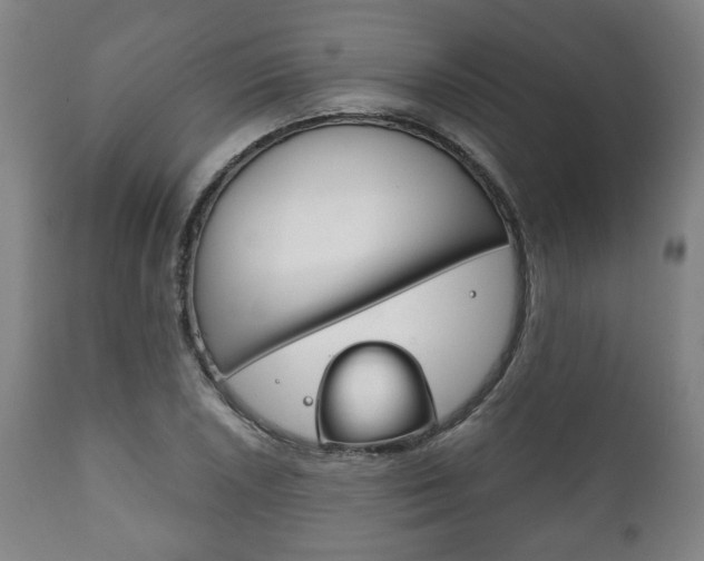 X0000111781026200907230944