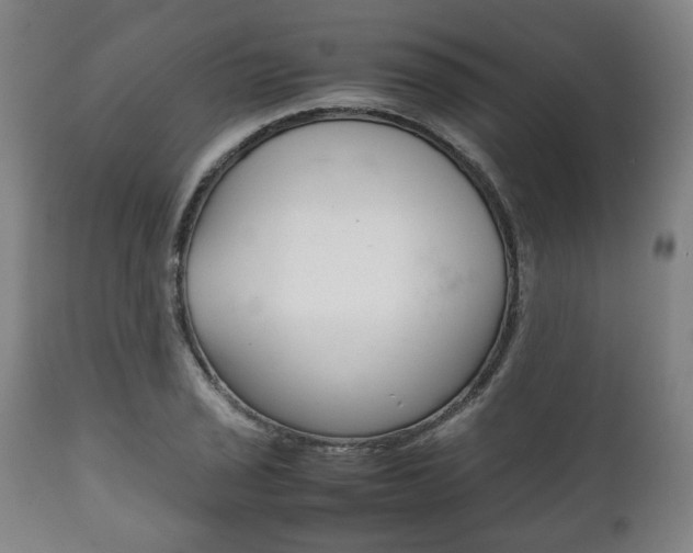 X0000111781029200907230944
