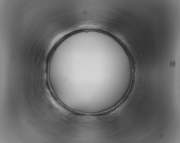 X0000111781030200907230944