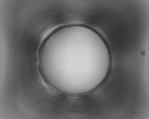 X0000111781031200907230944