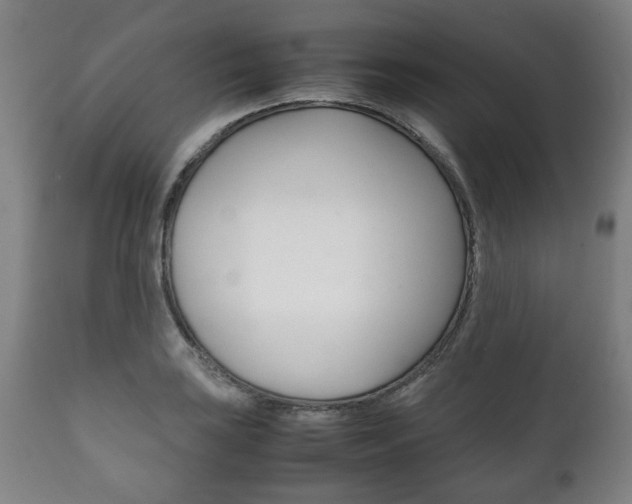 X0000111781035200907230944