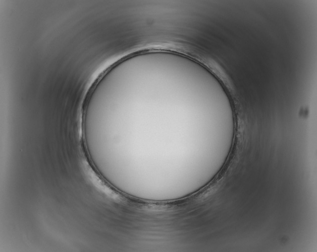 X0000111781036200907230944