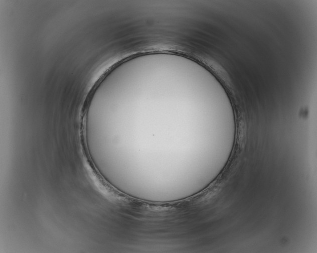 X0000111781039200907230944