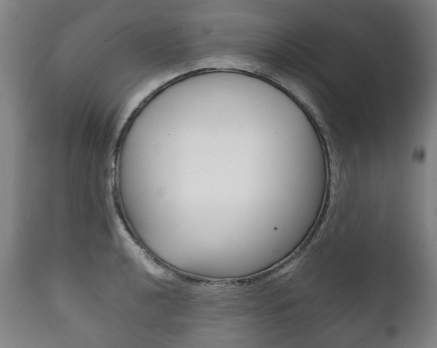 X0000111781040200907230944