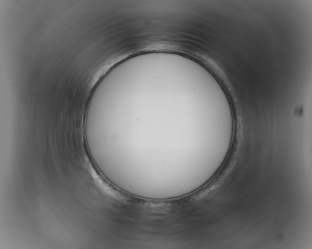 X0000111781041200907230944