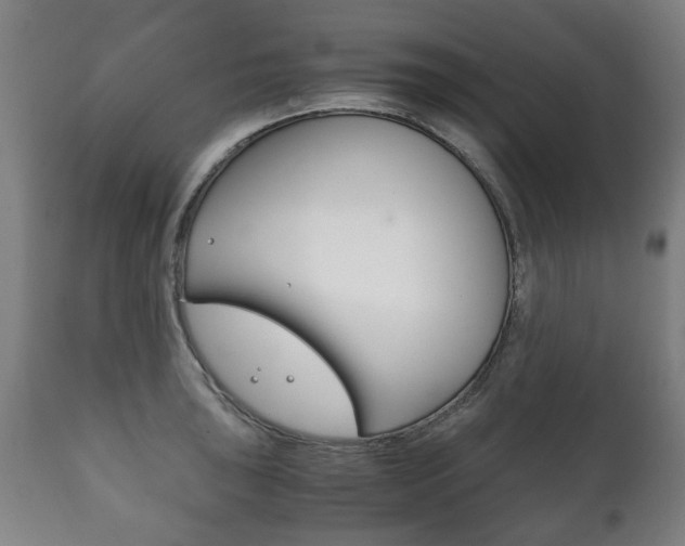 X0000111781043200907230945