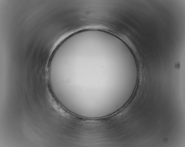 X0000111781044200907230945
