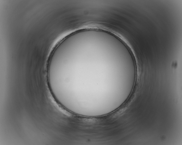 X0000111781045200907230945