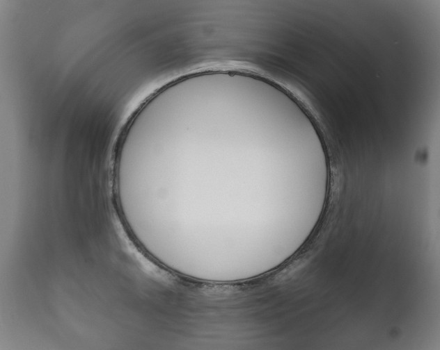 X0000111781046200907230945