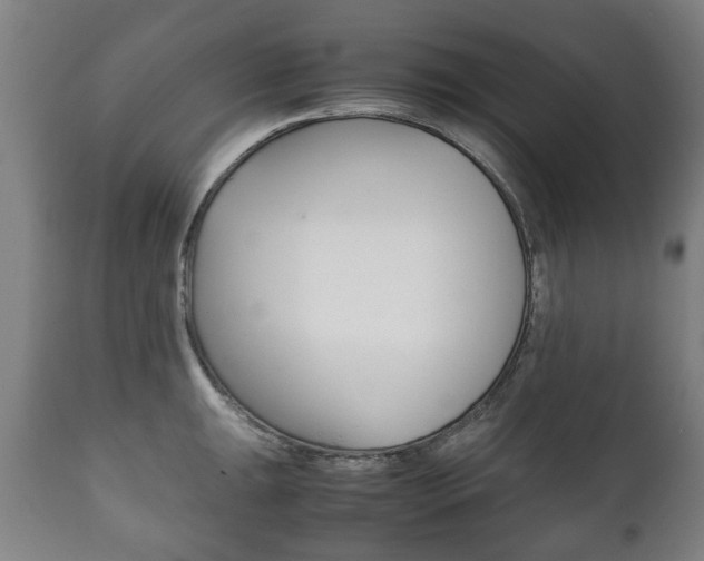 X0000111781047200907230945