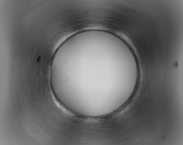 X0000111781049200907230945