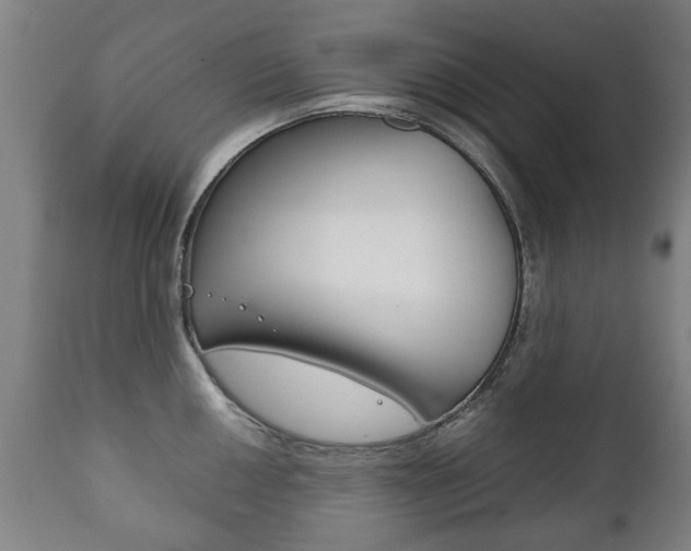 X0000111781050200907230945