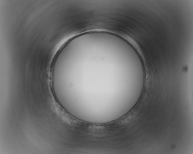 X0000111781051200907230945