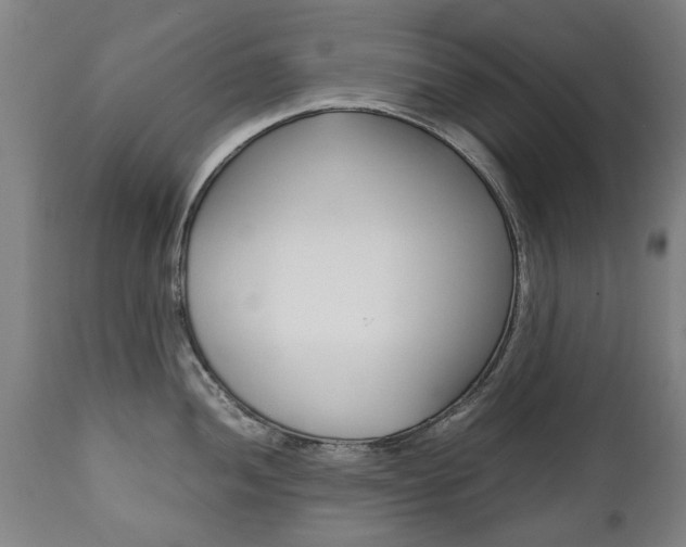 X0000111781052200907230945