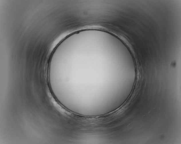 X0000111781054200907230945