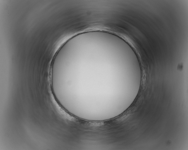 X0000111781055200907230945