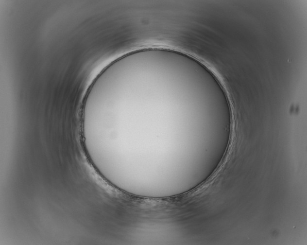 X0000111781056200907230945